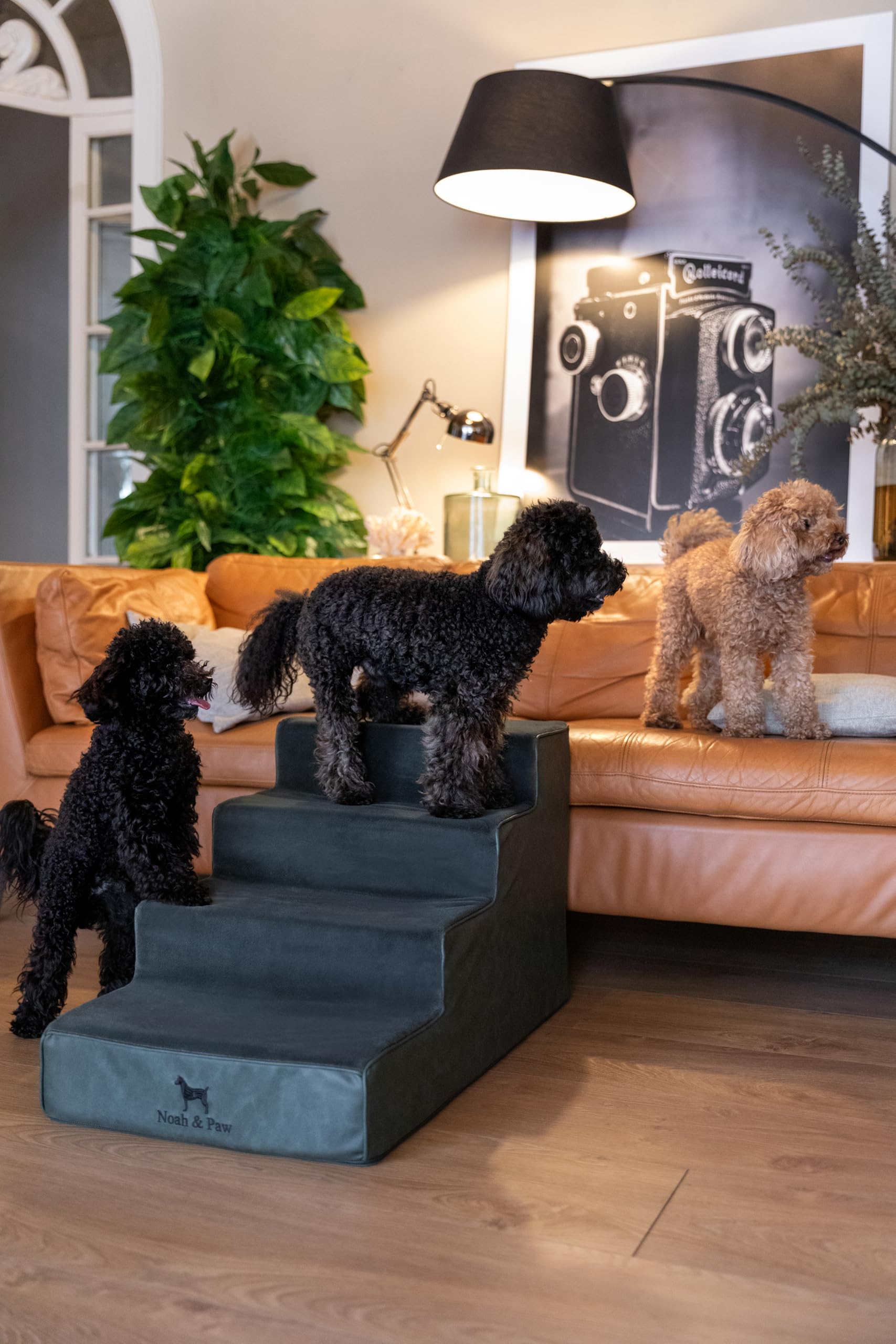 Noah & Paw escalera para perros, una pieza resistente que facilita subir.