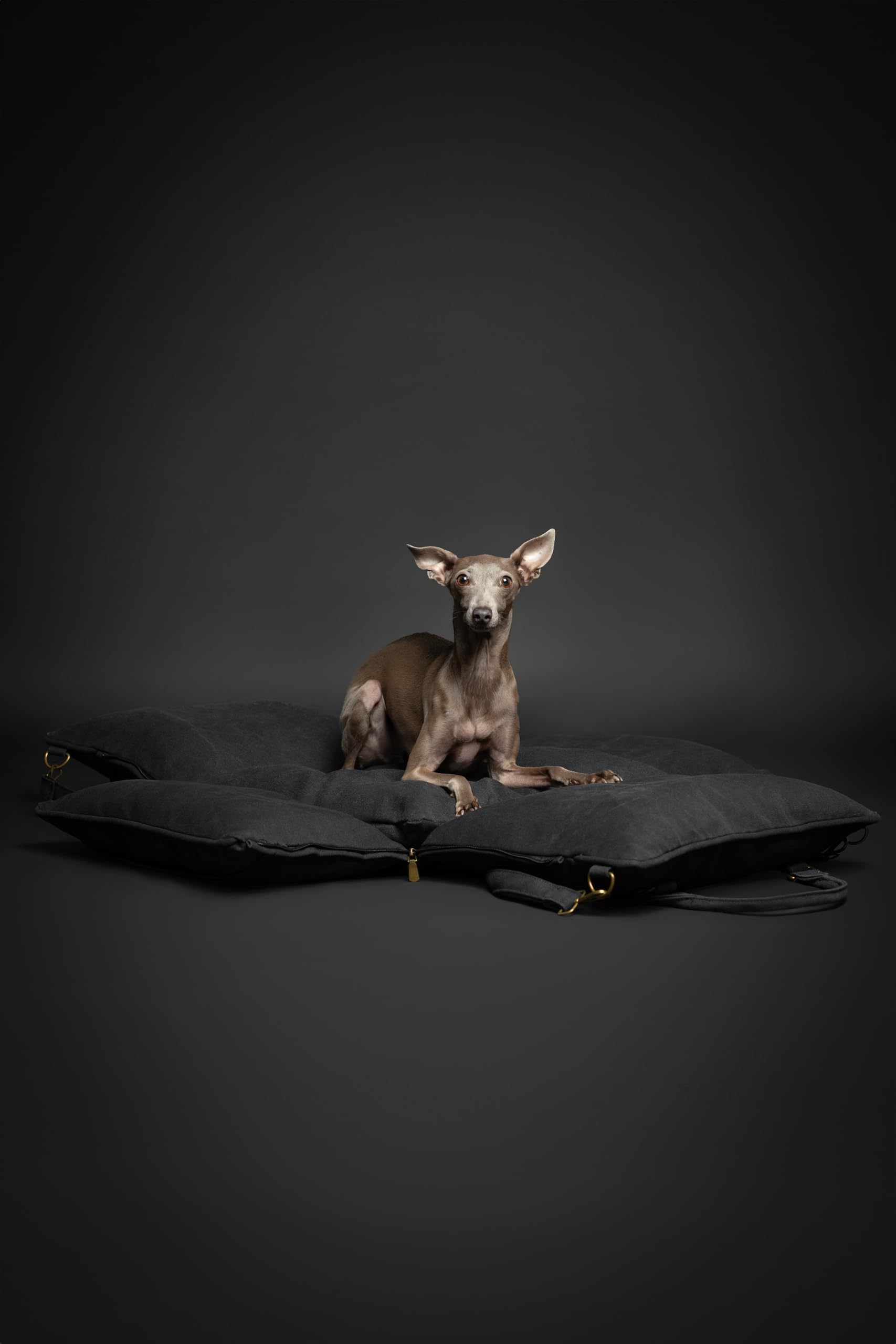Funda lavable e impermeable para limpieza fácil NOAH & PAW