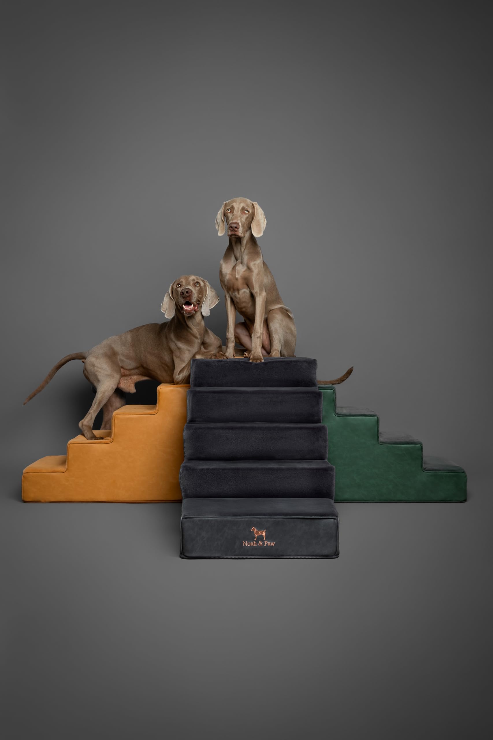 NOAH & PAW funda removible lavable para limpieza fácil