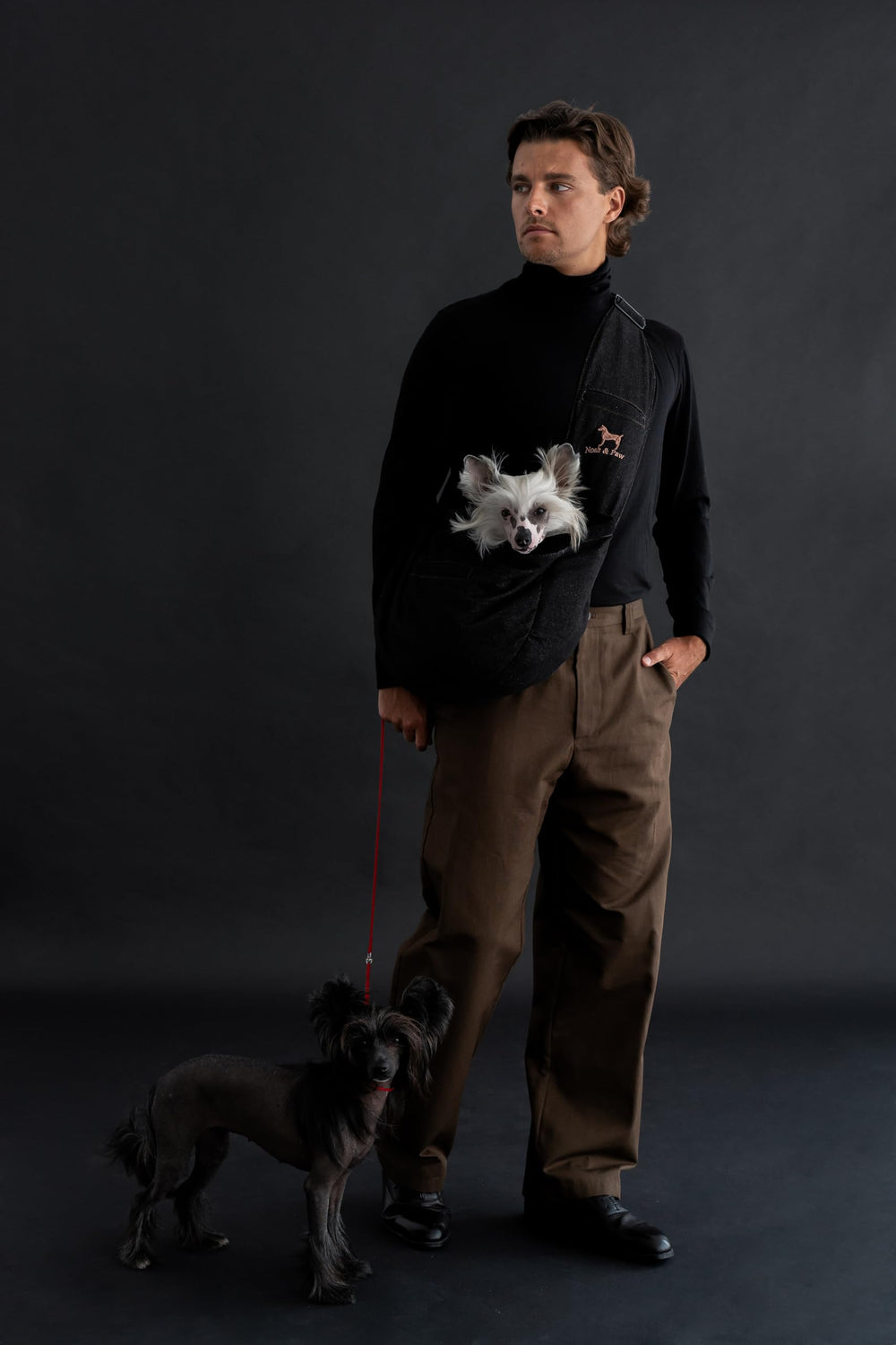 NOAH & PAW portador ajustable con correa acolchada para uso cómodo