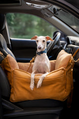 NOAH & PAW seguridad 4x con clip y correas para mayor estabilidad.
