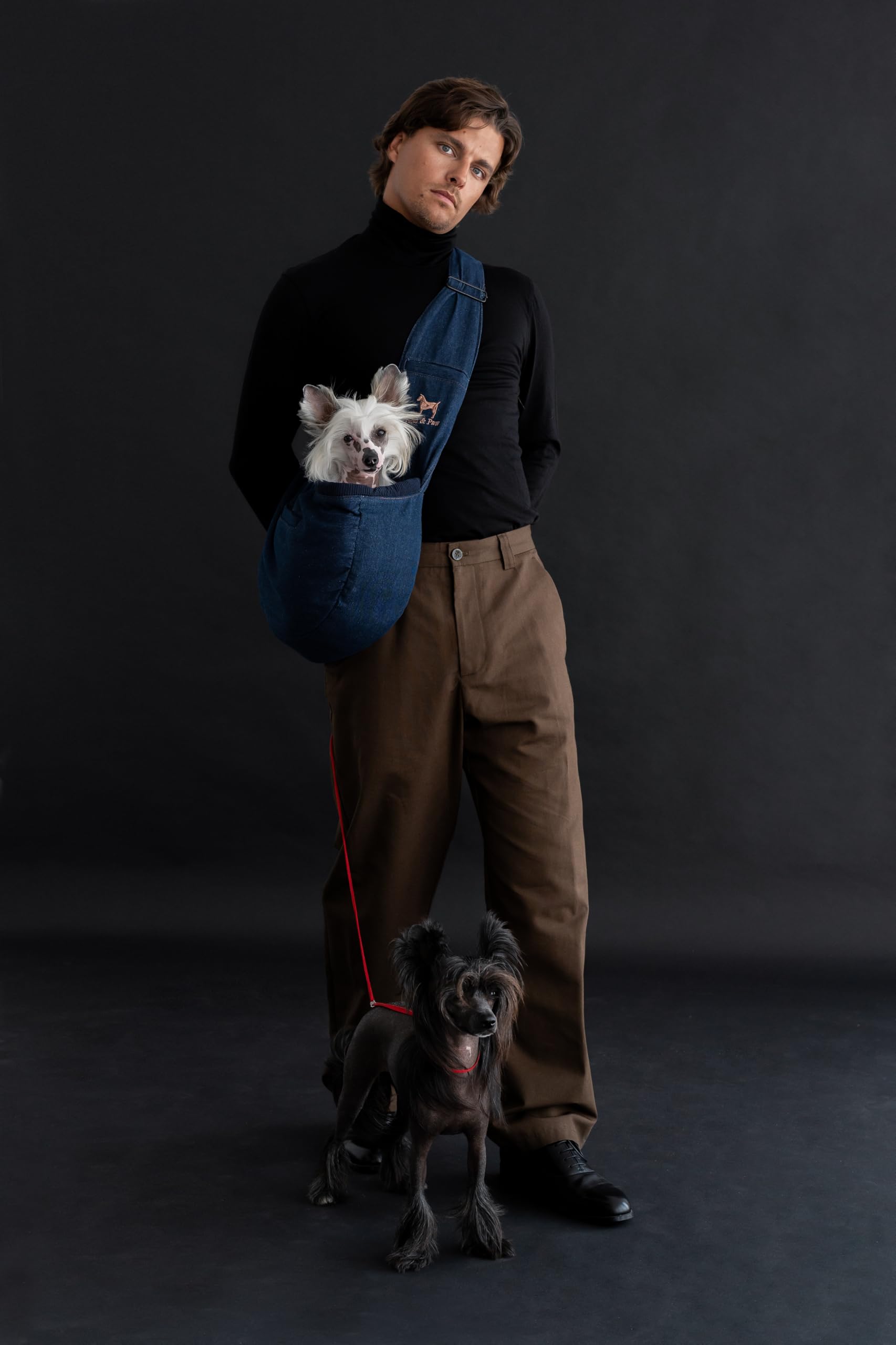 Noah & Paw sling ideal para perros pequeños y gatos.