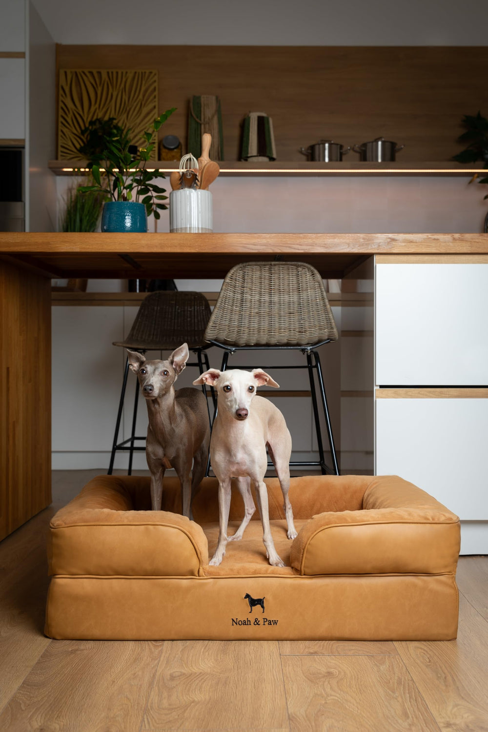 NOAH & PAW uso-diario-perros-mayores ofrece comodidad en descansos prolongados.