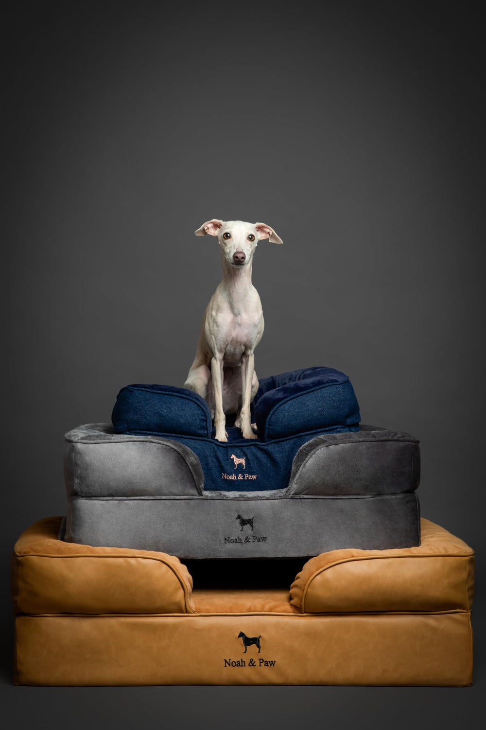 Base de 6 pulgadas de la cama NOAH & PAW XL para mayor soporte