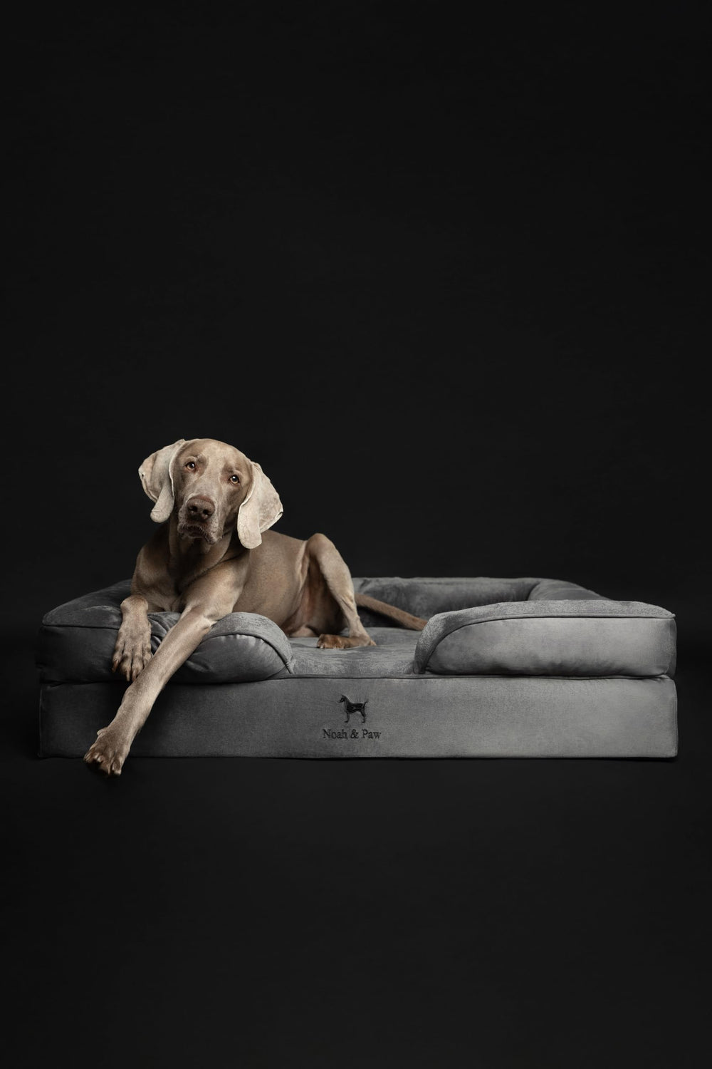 Cama NOAH & PAW XL con funda exterior lavable y removible para higiene