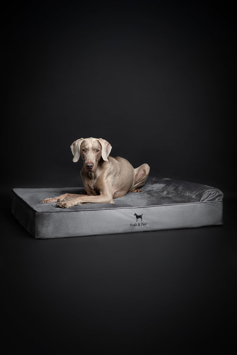 Diseño ortopédico NOAH PAW XL distribuye el peso.