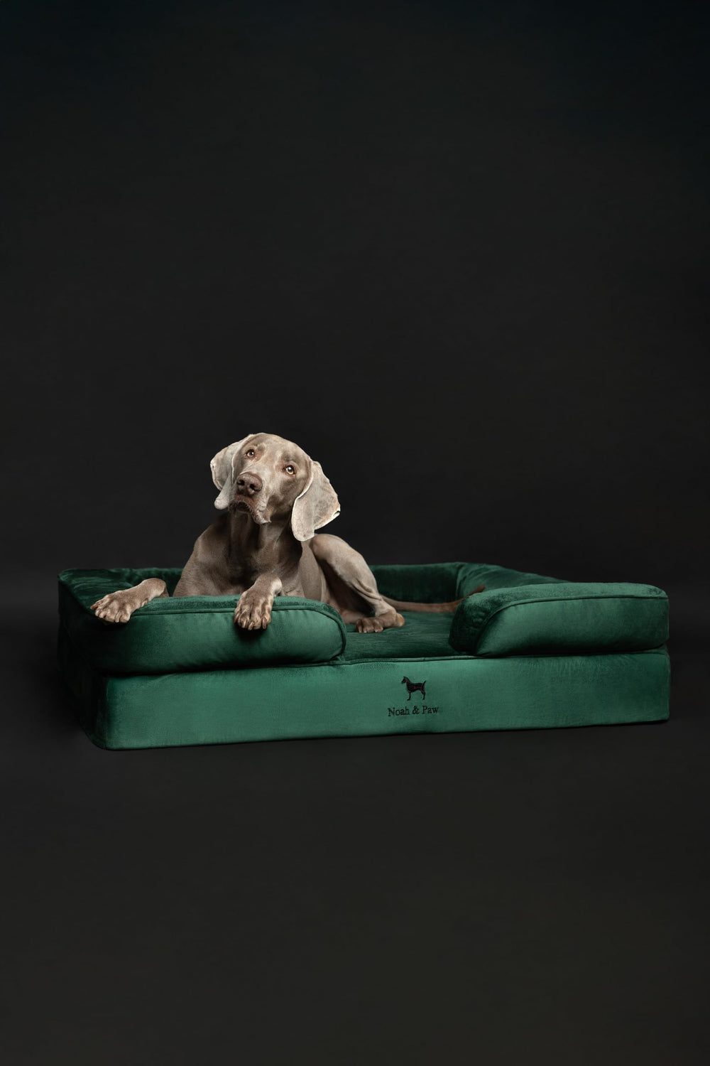 Diseño Velvet Sofa de NOAH & PAW XL para sala elegante