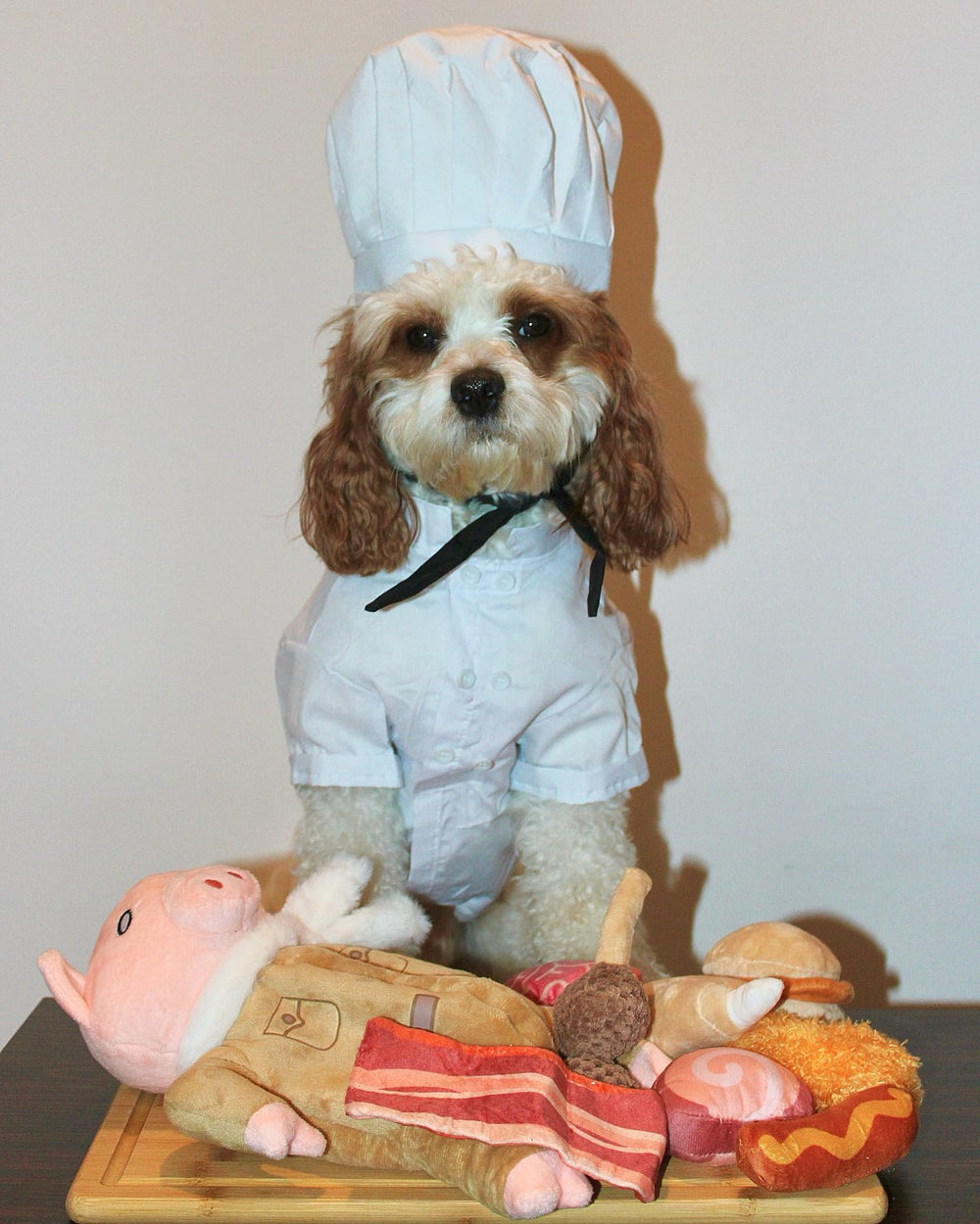 Nocciola cerdito-juguete-perro tamaño-ideal para perros pequeños y medianos activos.