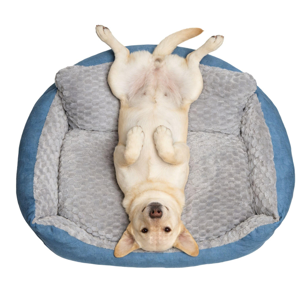 Cama NOFKYNOXA para perro grande con refuerzos 4 lados para mayor soporte.