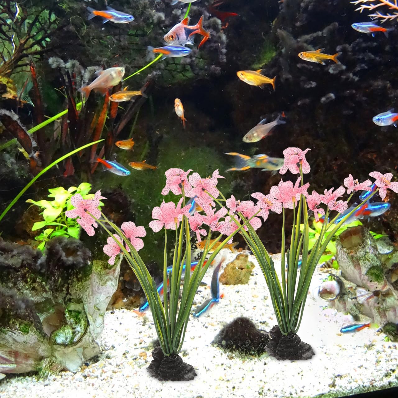 NOLITOY decoracion rosada para pecera, compatible con Bettas
