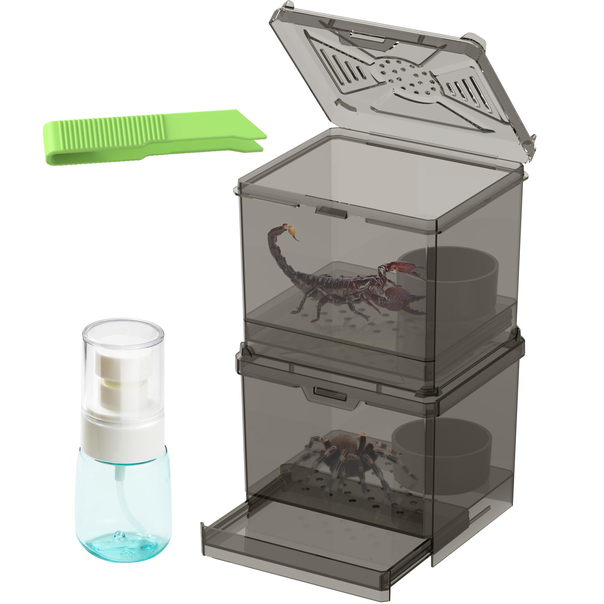 NOMOY Kit de Hábitat para Insectos Pequeños, bandeja extraíble facilita la limpieza