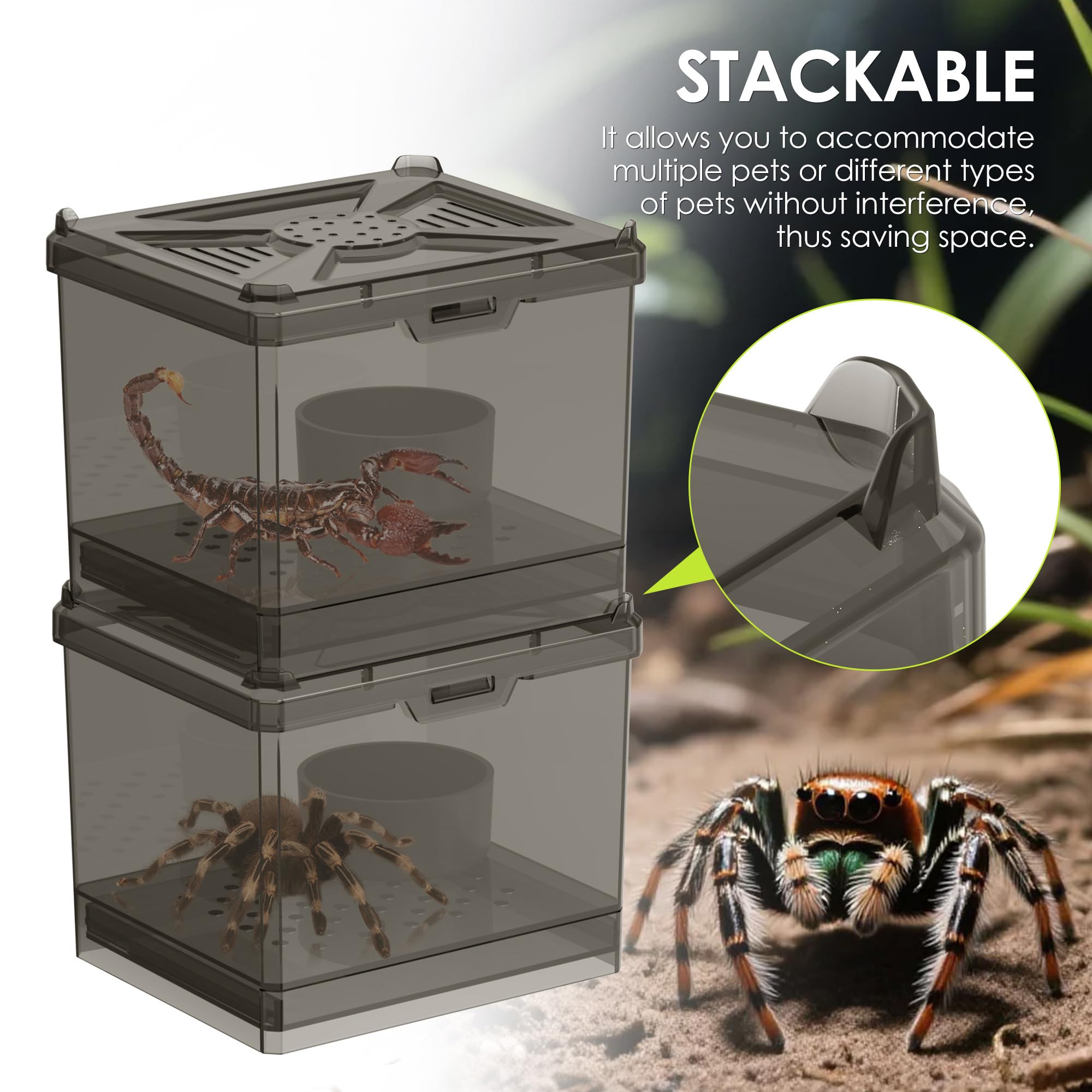NOMOY Kit de Hábitat para Insectos Pequeños, diseño apilable para ahorrar espacio