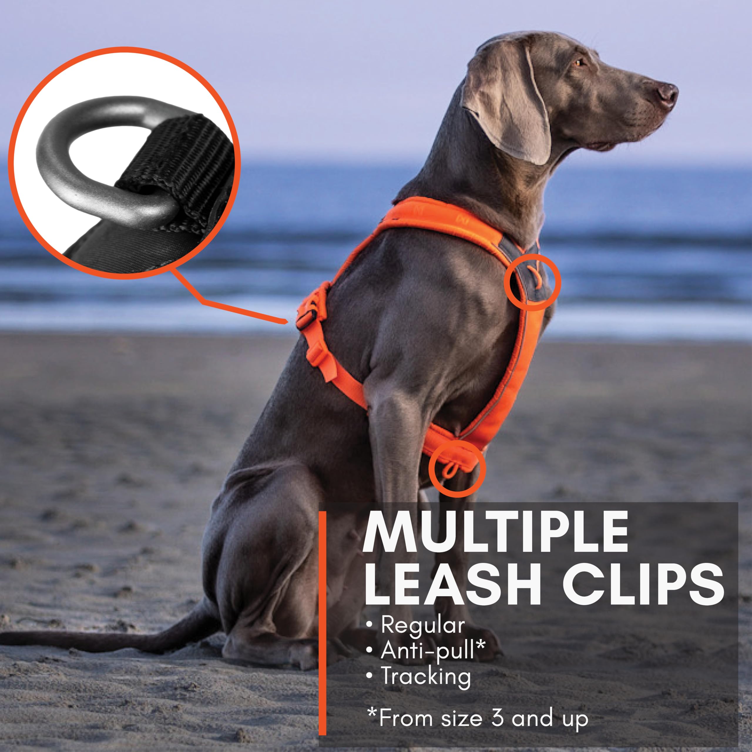 Non-stop dogwear arnés Línea 5.0, aro delantero para control ligero.