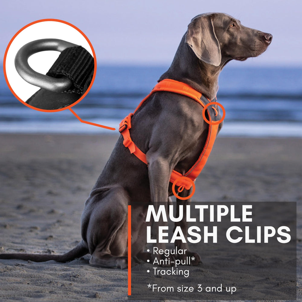 Non-stop dogwear arnés Línea 5.0, aro delantero para control ligero.