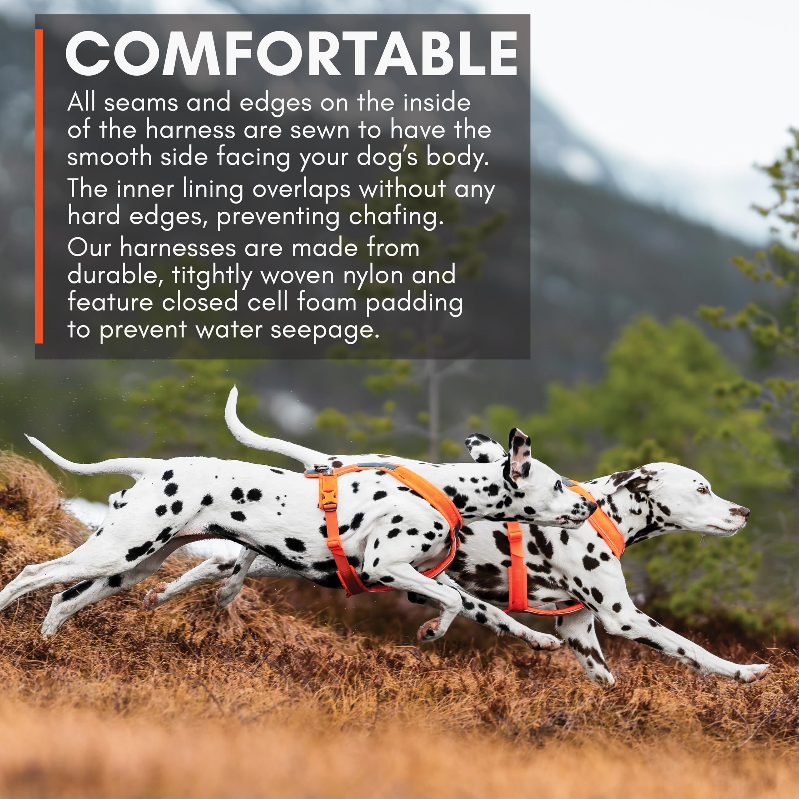 Non-stop dogwear arnés Línea 5.0, enganche dorsal para entrenamiento y excursiones.
