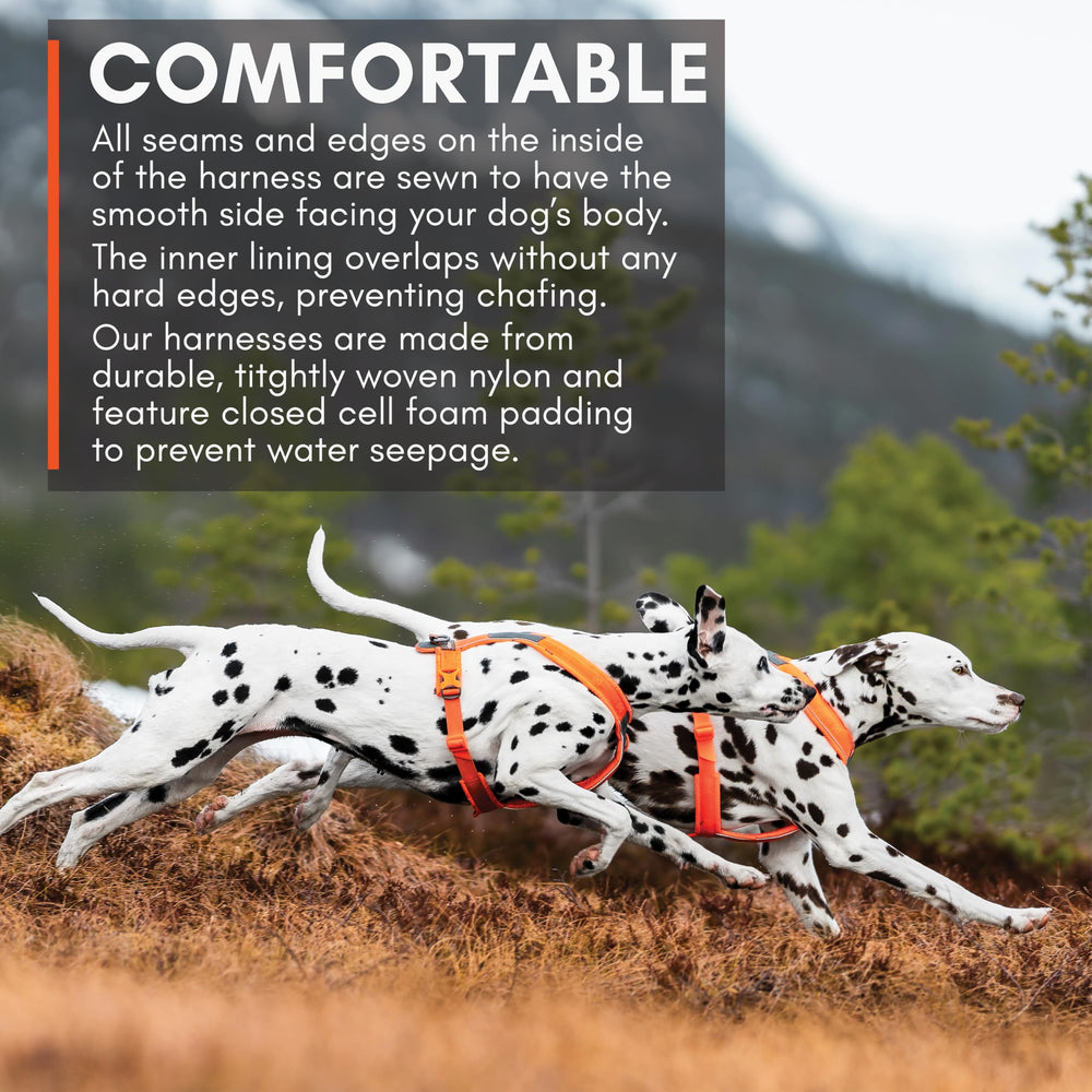 Non-stop dogwear arnés Línea 5.0, enganche dorsal para entrenamiento y excursiones.