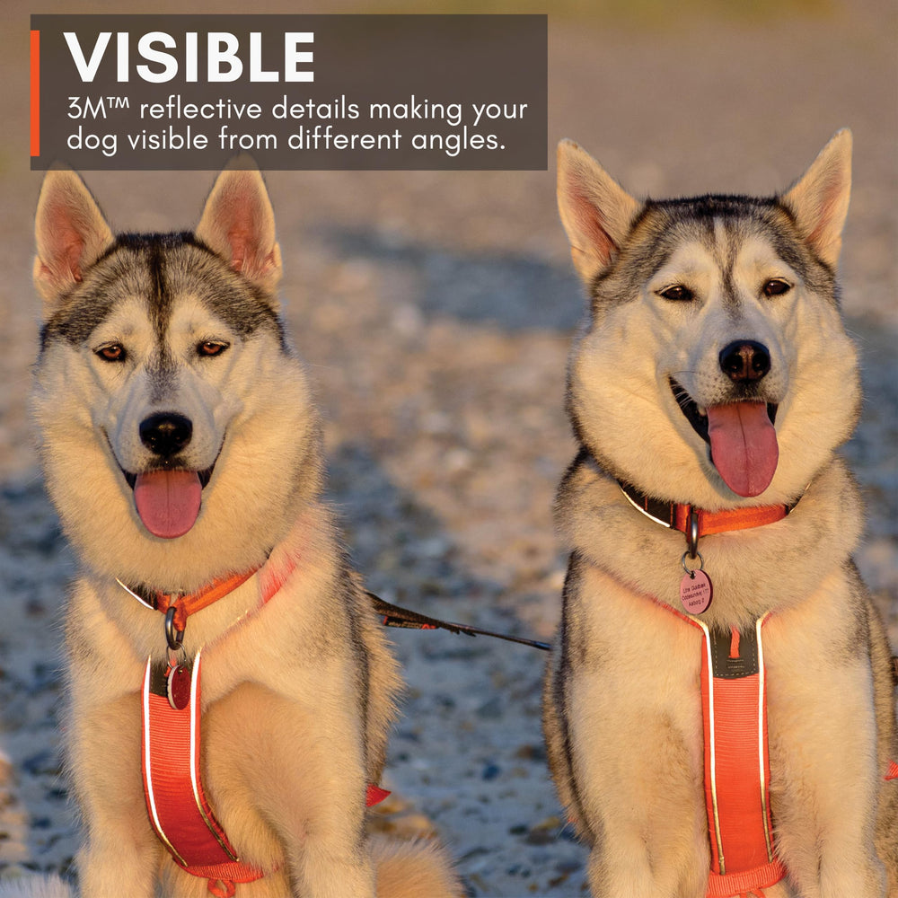 Non-stop dogwear arnés Línea 5.0, material suave para uso prolongado.