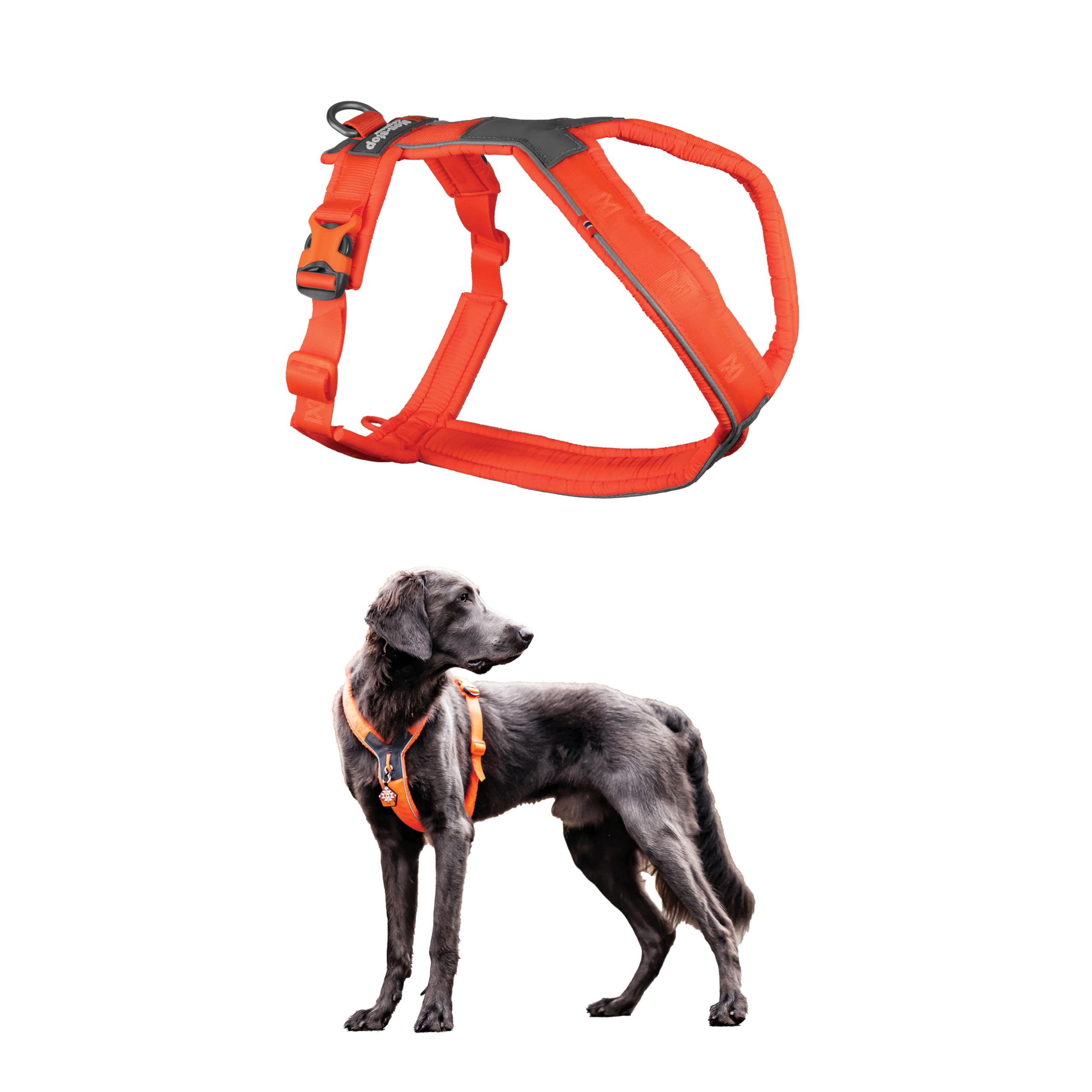 Non-stop dogwear arnés Línea 5.0, vista frontal del arnés para perro grande, cómodo y seguro.
