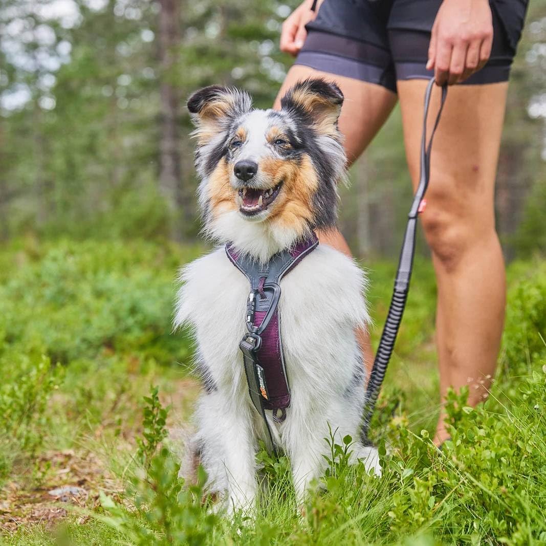 Non-stop dogwear arnés Línea 5.0, vista lateral del arnés para perro grande, ajuste cómodo.