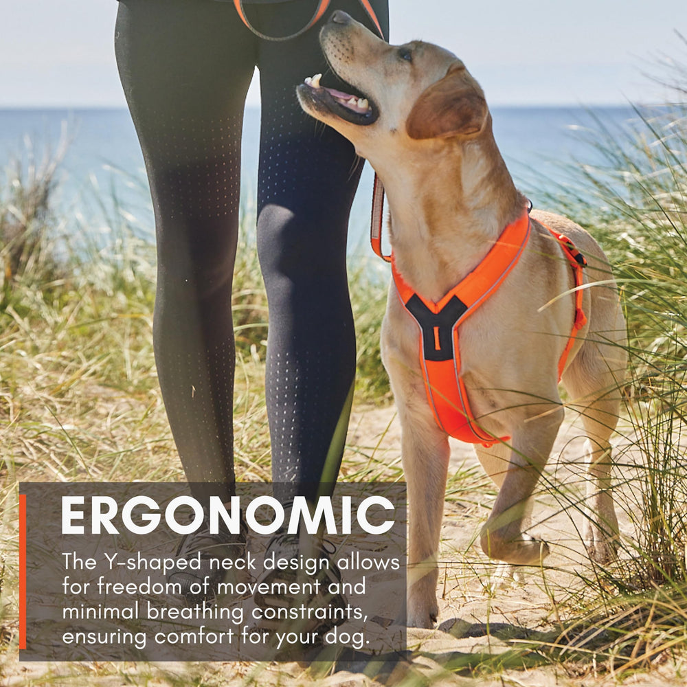 Non-stop dogwear arnés Línea 5.0, reflectores 3M para visibilidad.