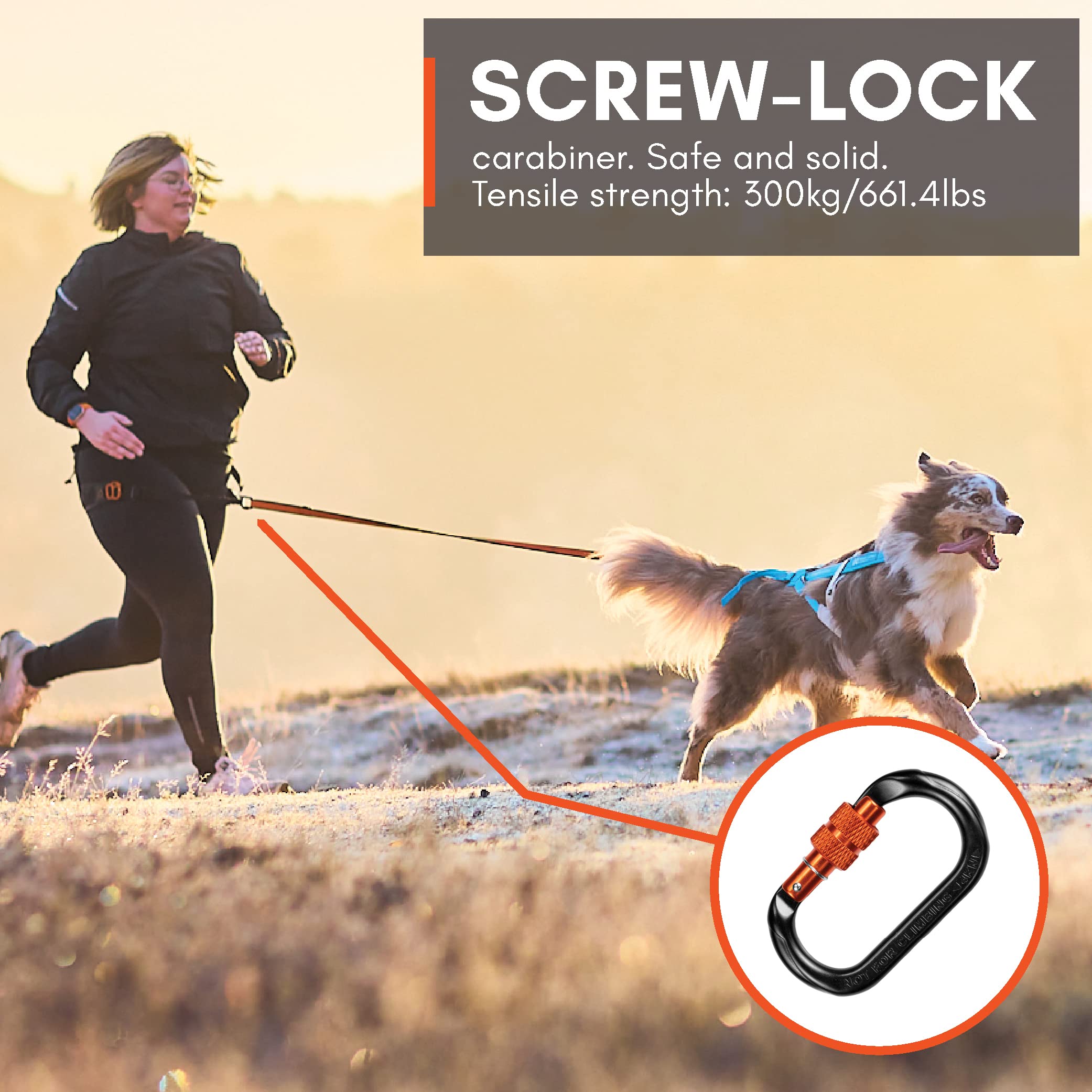 Non-stop dogwear malla transpirable mantiene la espalda fresca durante salidas largas