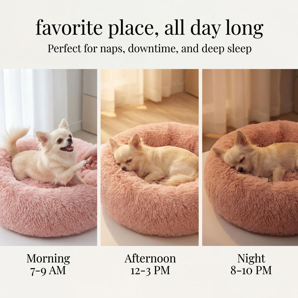 Cama donut nononfish tamaño ideal para perritos y gatitos