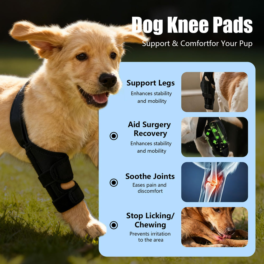 Noorace uso-diario rodilla-perro: soporte confiable para caminatas y entrenamiento
