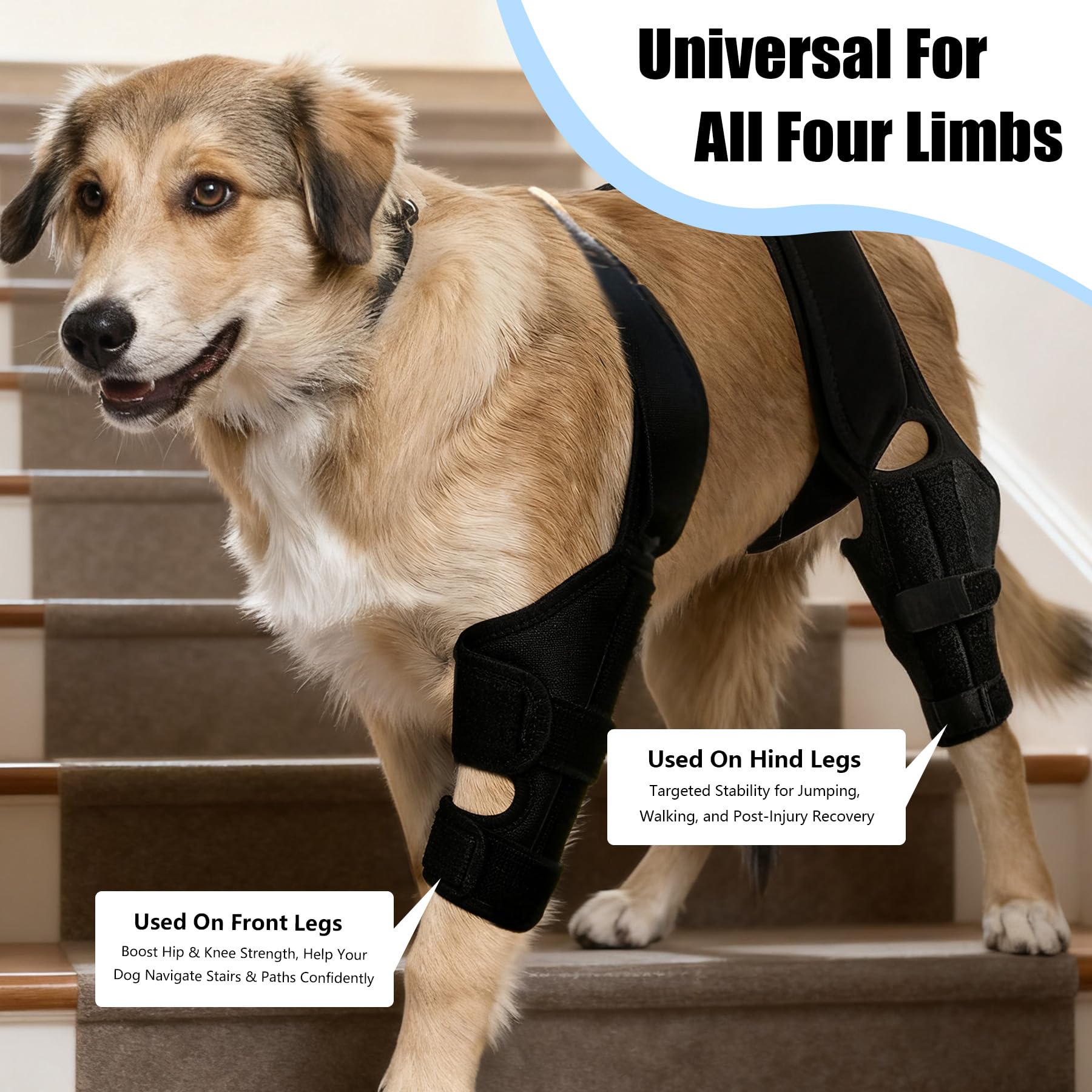 Noorace uso-viaje perro rodilla: aplicación fácil en casa o al viajar