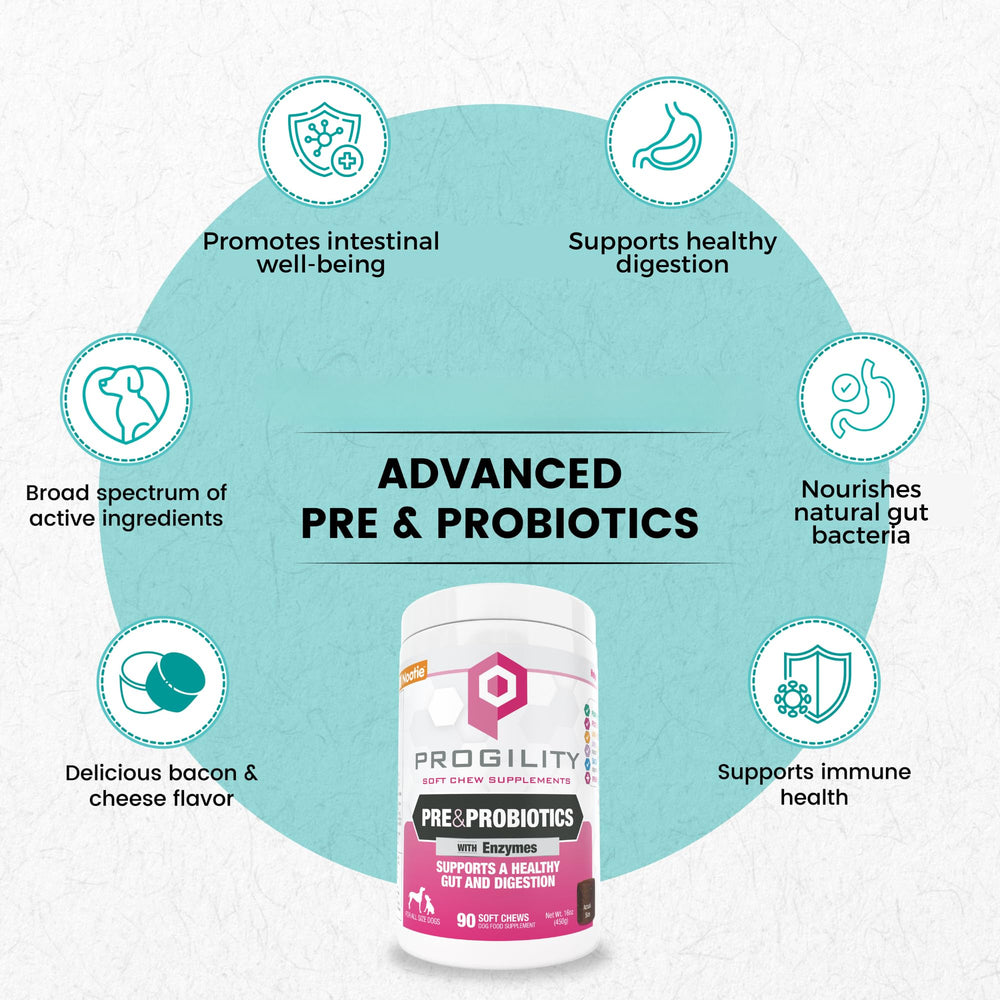 Nootie Progility: gomitas suaves para perros que apoyan la digestión.