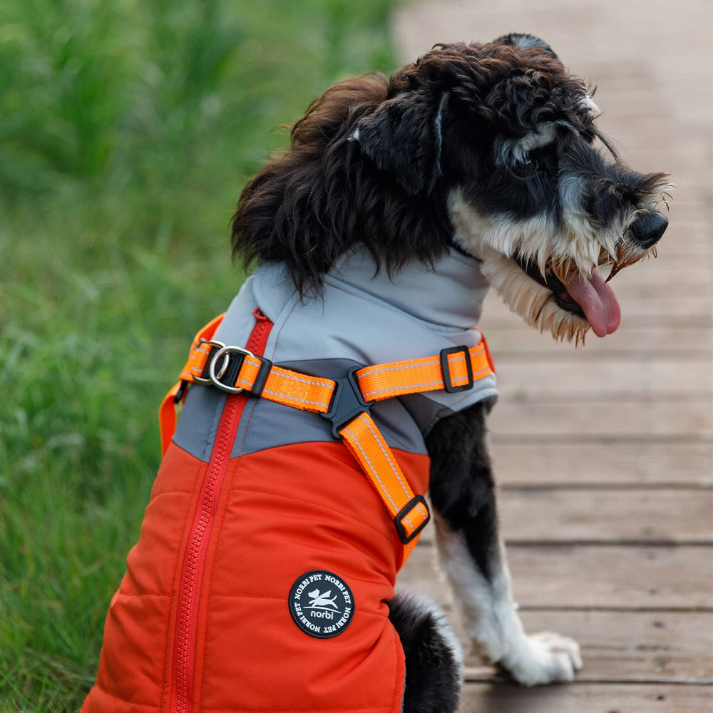 Norbi chaqueta con arnés integrado para paseos fáciles y seguros.