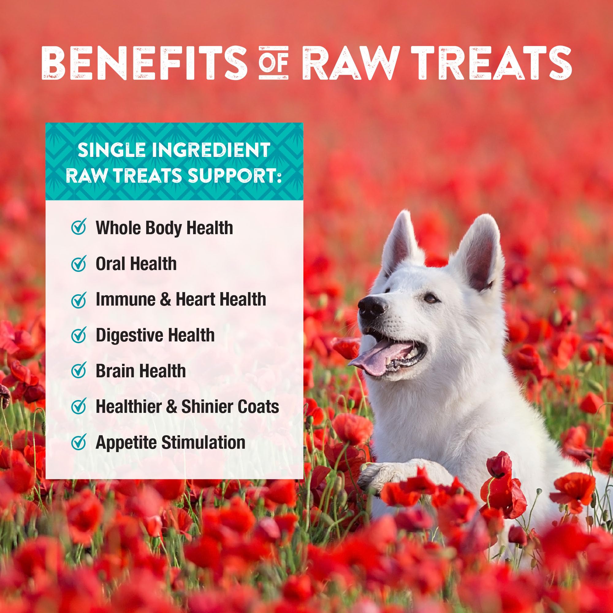 Northwest Naturals Empaque fácil de abrir, ideal para viajes con mascotas.