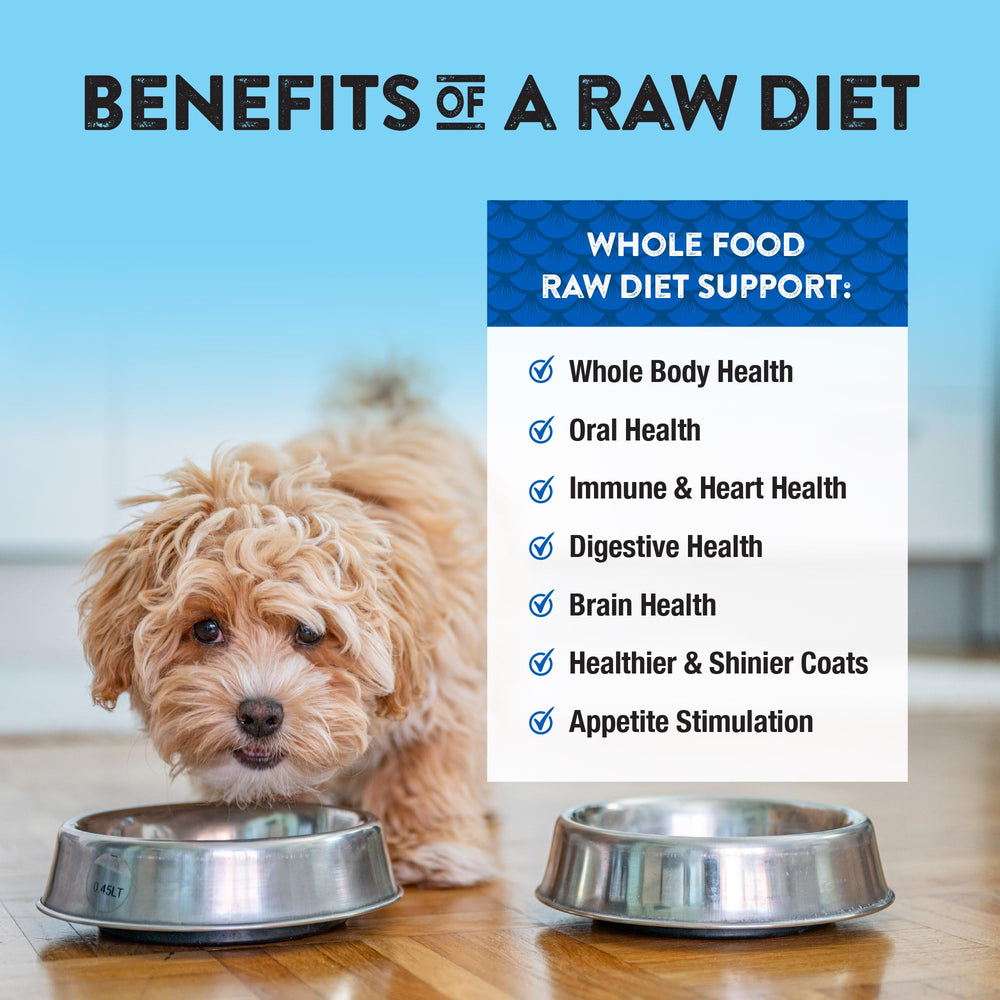 Northwest Naturals Omega-3 mejora piel y pelaje en perros.