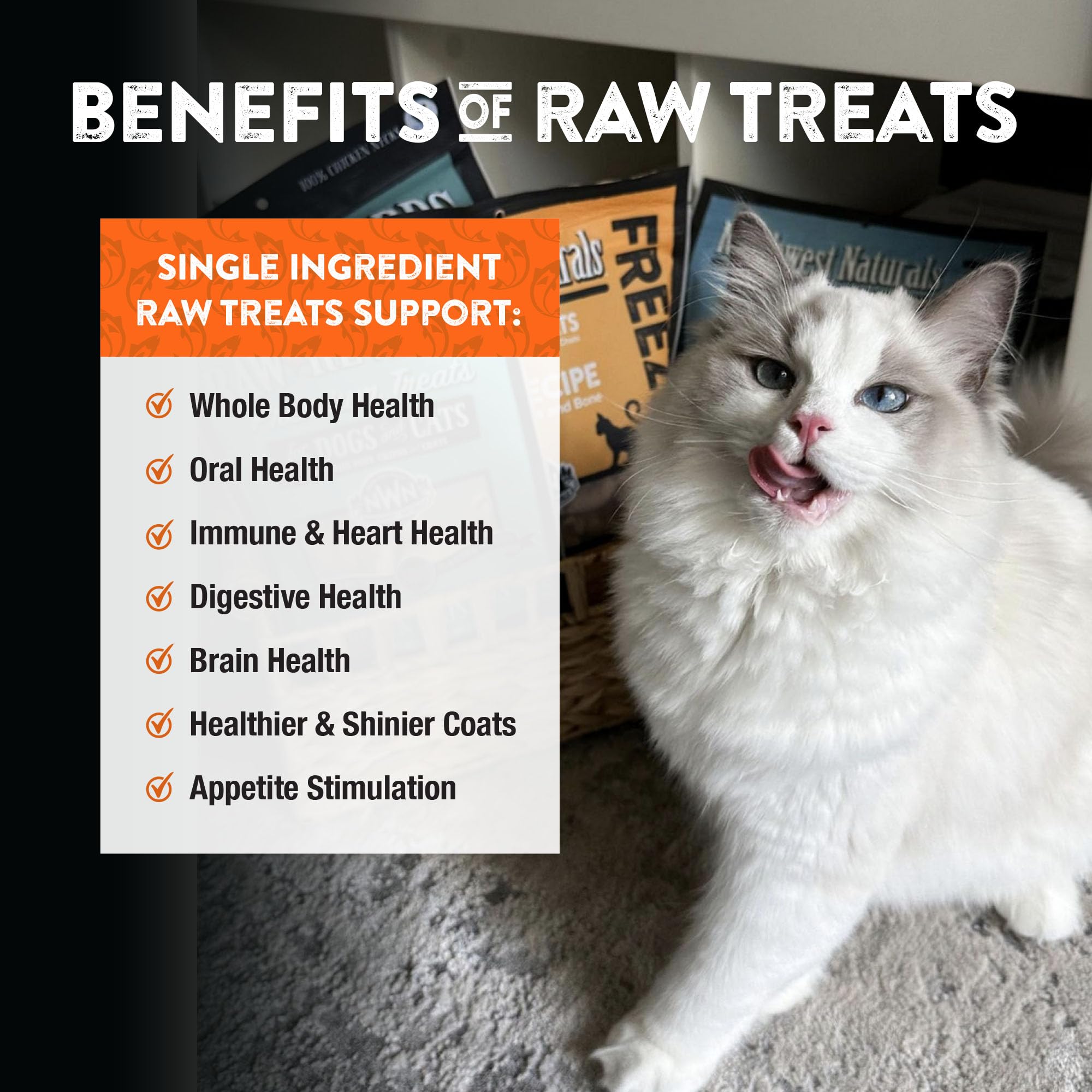 Northwest Naturals Premios Salmón, uso diario para perros y gatos.