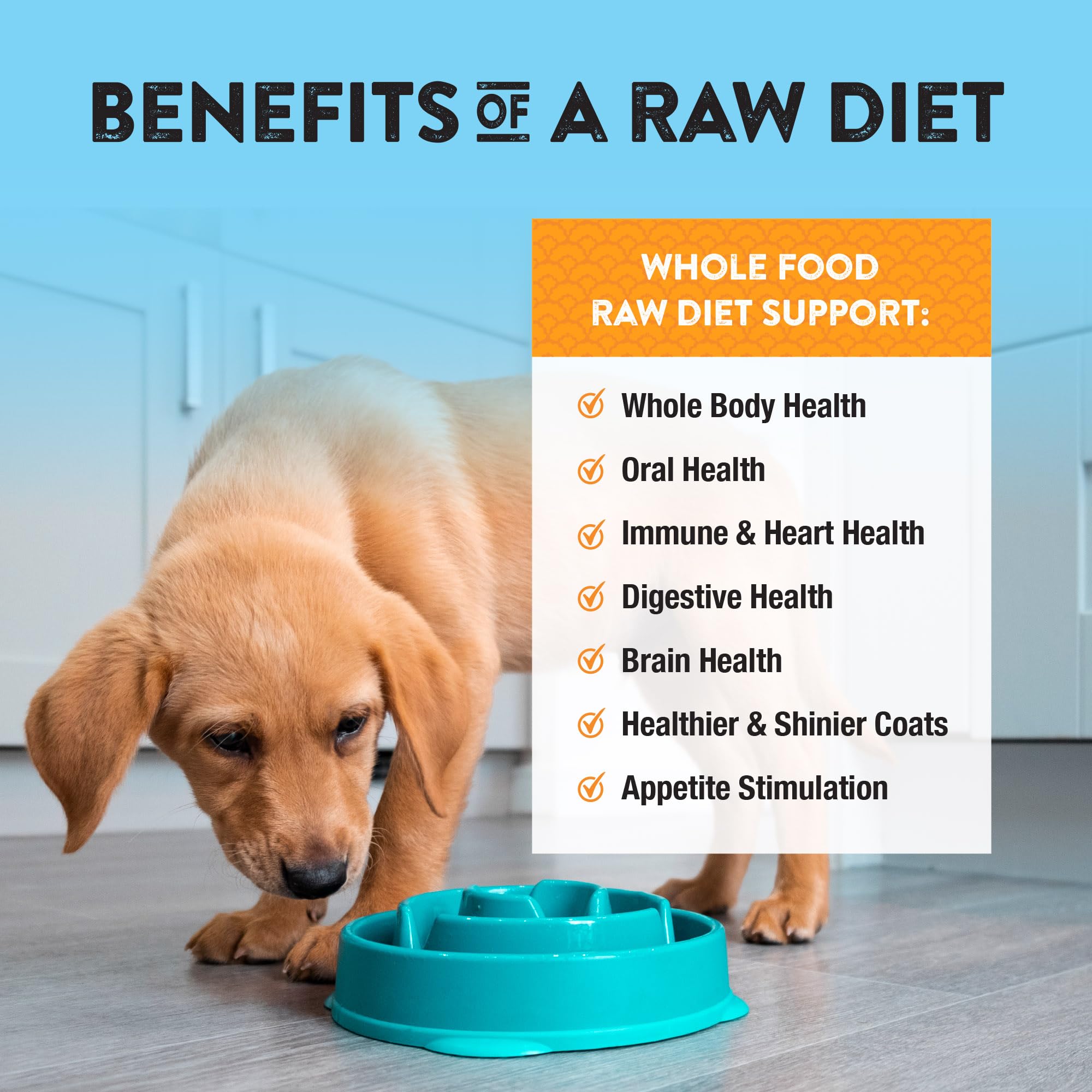 Northwest Naturals sin granos, pavo deshidratado para perros con estómago sensible.