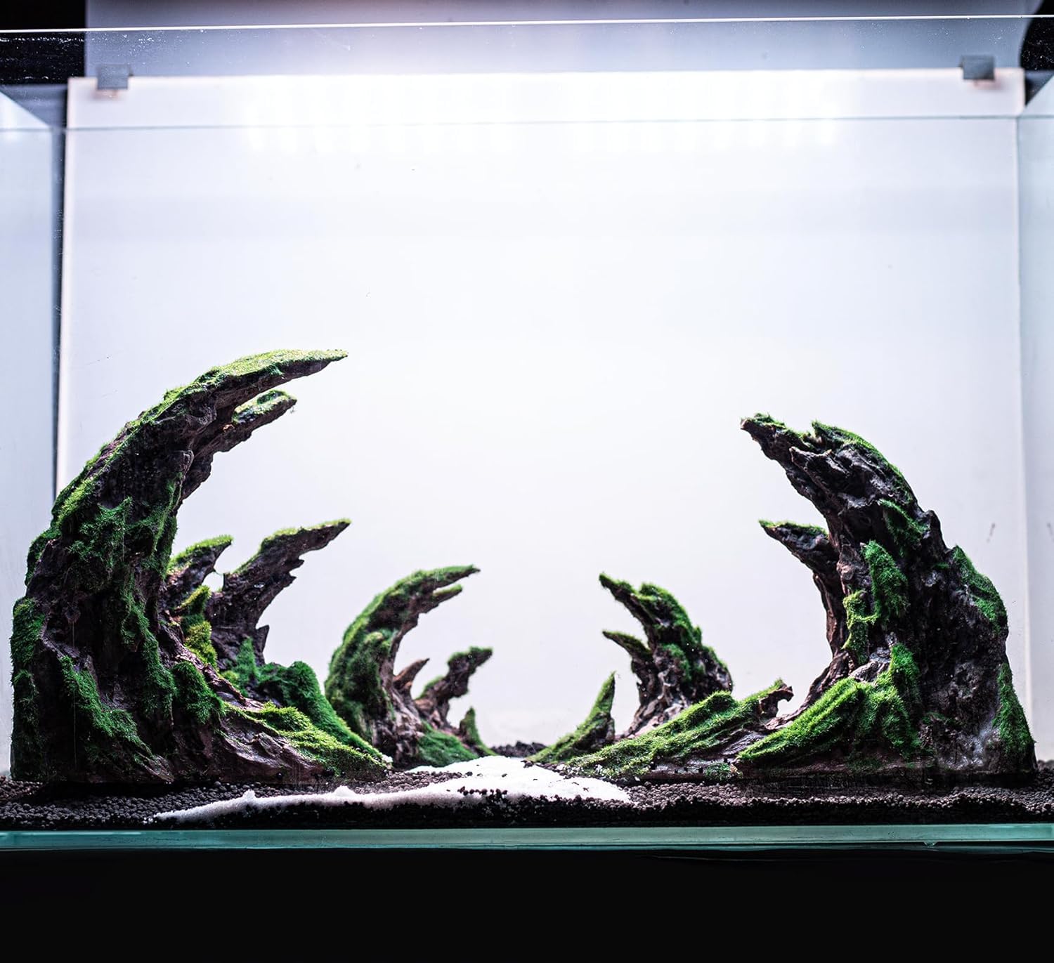Novelsite accesorios acuario refugio peces 2, refugio adicional para exploradores