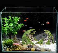 Novelsite decoracion acuario roca 2, acentuación de colores y ambiente submarino