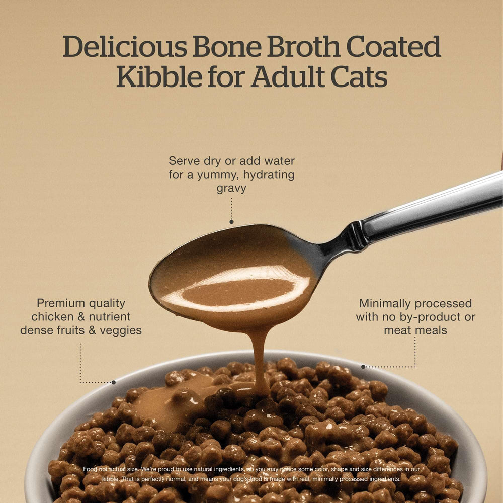 Now Fresh Good Gravy saco ocho libras, reserva conveniente para gatos.