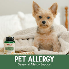 NOW Pets curcuma-botanicos masticables: mezcla suave para el bienestar diario de la mascota