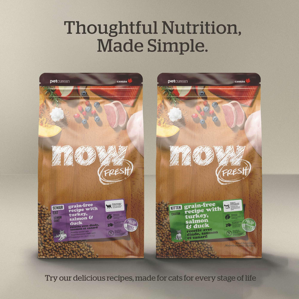 Now Fresh: sin subproductos ni harinas de carne de calidad
