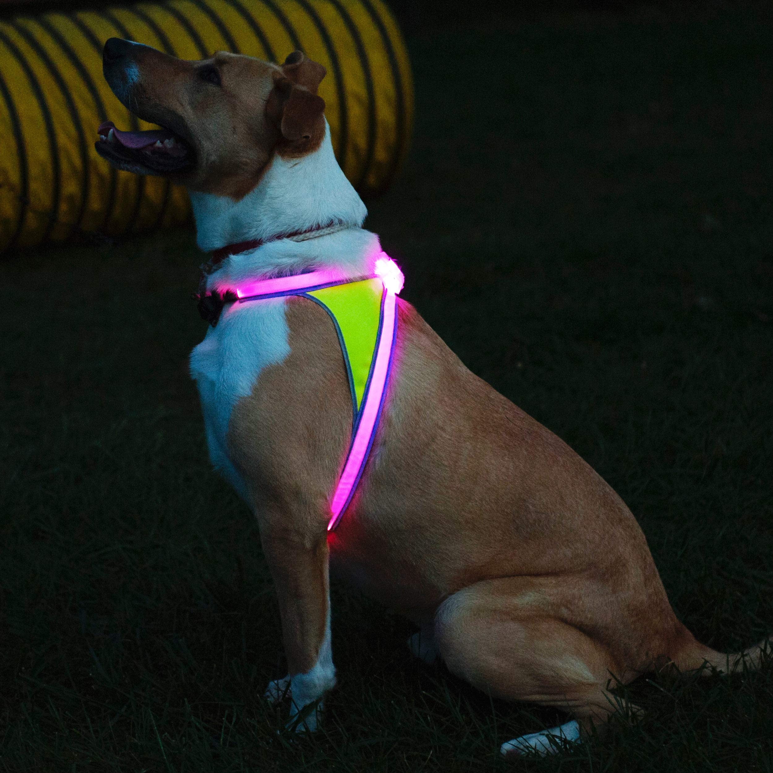 Noxgear LightHound: ajuste total para cuello y pecho, comodidad personalizada.
