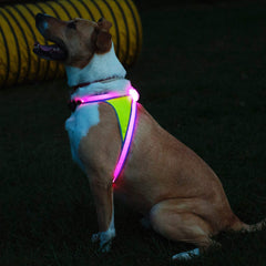 Noxgear LightHound: ajuste total para cuello y pecho, comodidad personalizada.
