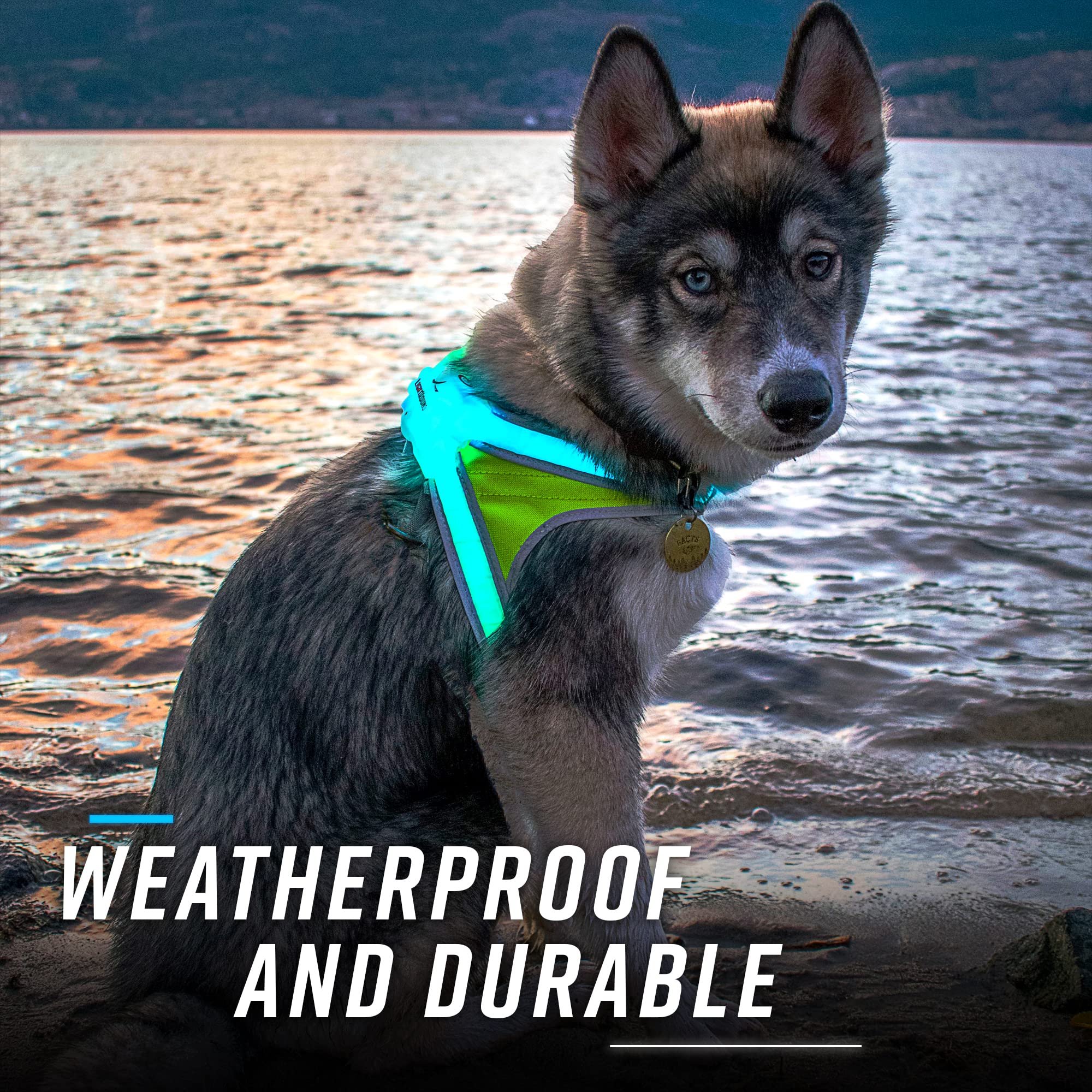 Noxgear LightHound ofrece batería recargable para hasta 12 horas de iluminación.