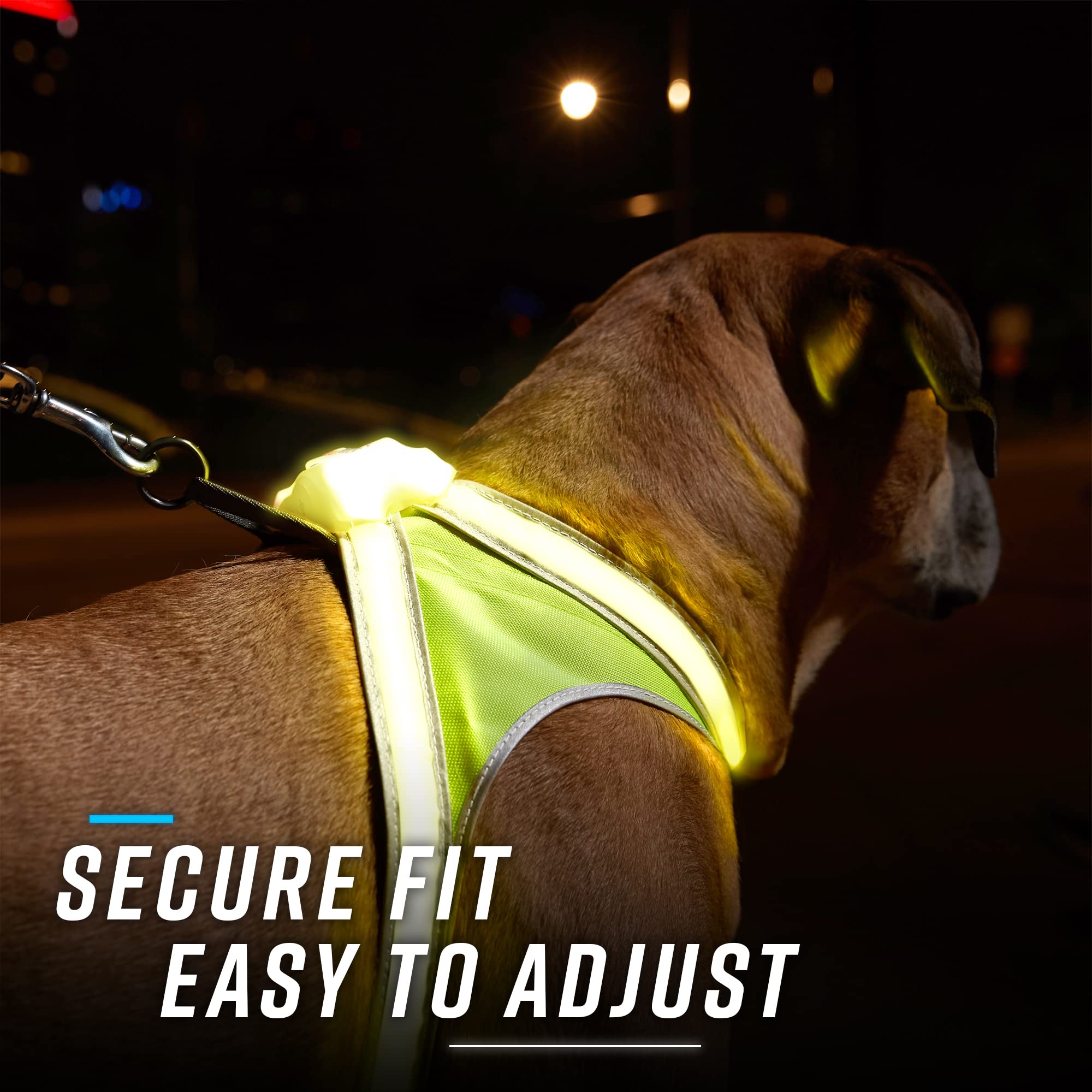 LightHound es ligero y transpirable para uso diario sin irritar al perro.