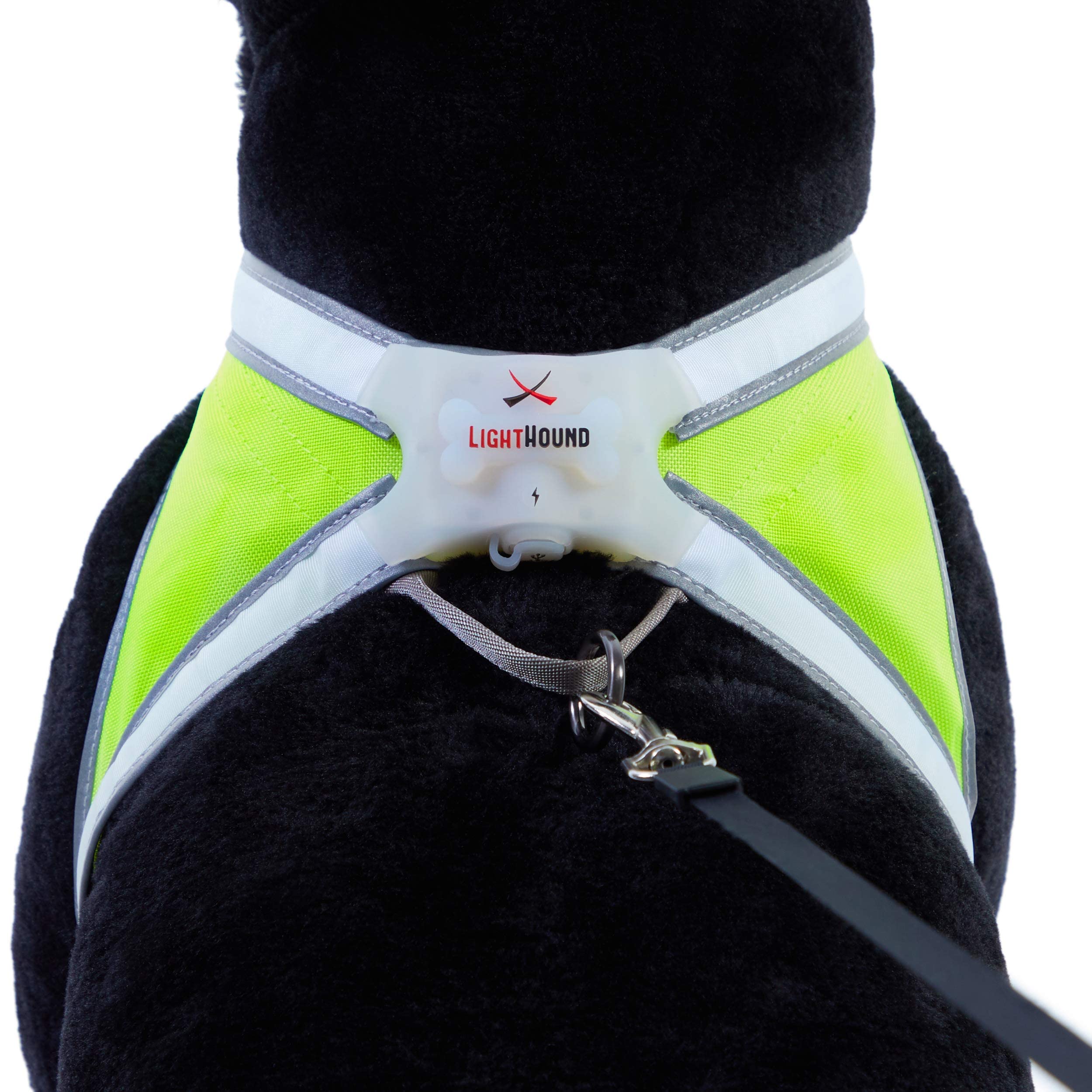 LightHound se coloca fácilmente sobre tu collar o arnés existente.