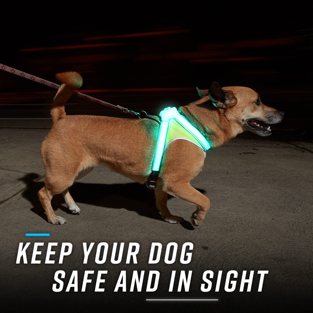 La reflectividad 3M Scotchlite de LightHound mejora la detección por conductores.
