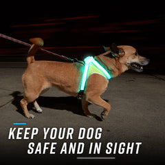 La reflectividad 3M Scotchlite de LightHound mejora la detección por conductores.