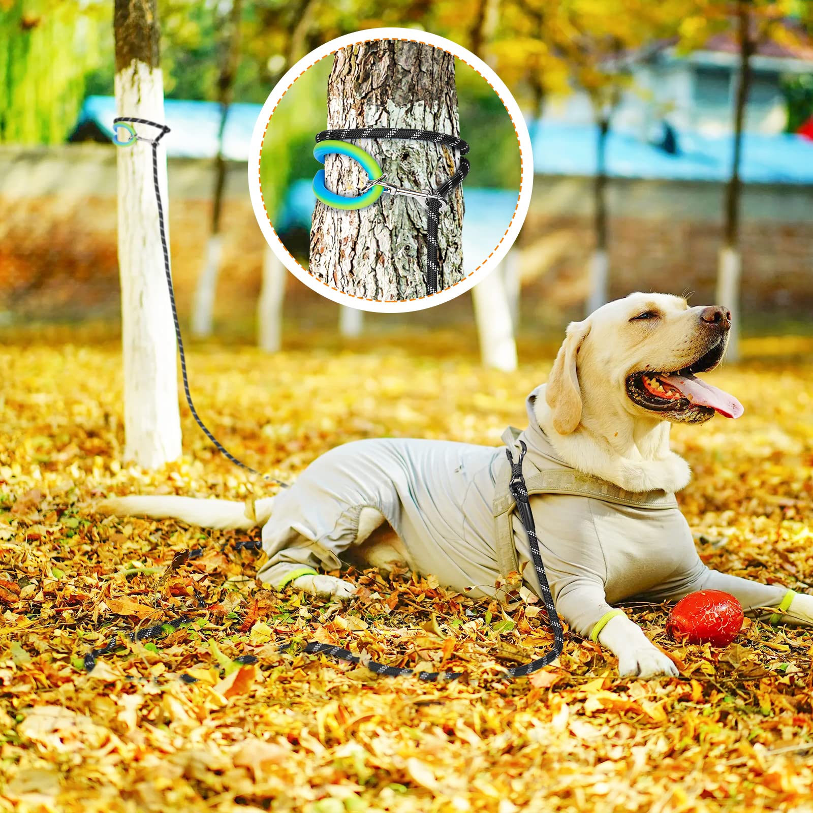 NTR correa exterior en distintas longitudes para entrenamiento al aire libre.
