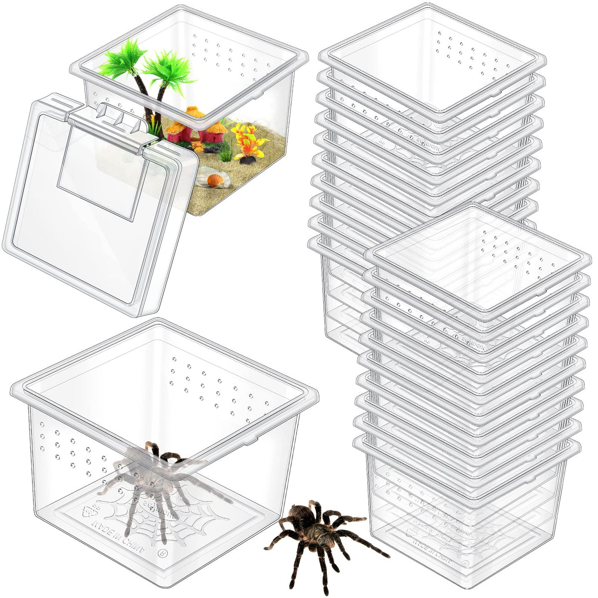 Nuanchu caja criadora de insectos compacta y transparente para observar crías