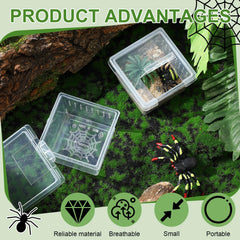 Nuanchu caja criadora de insectos, limpieza facil y duradera