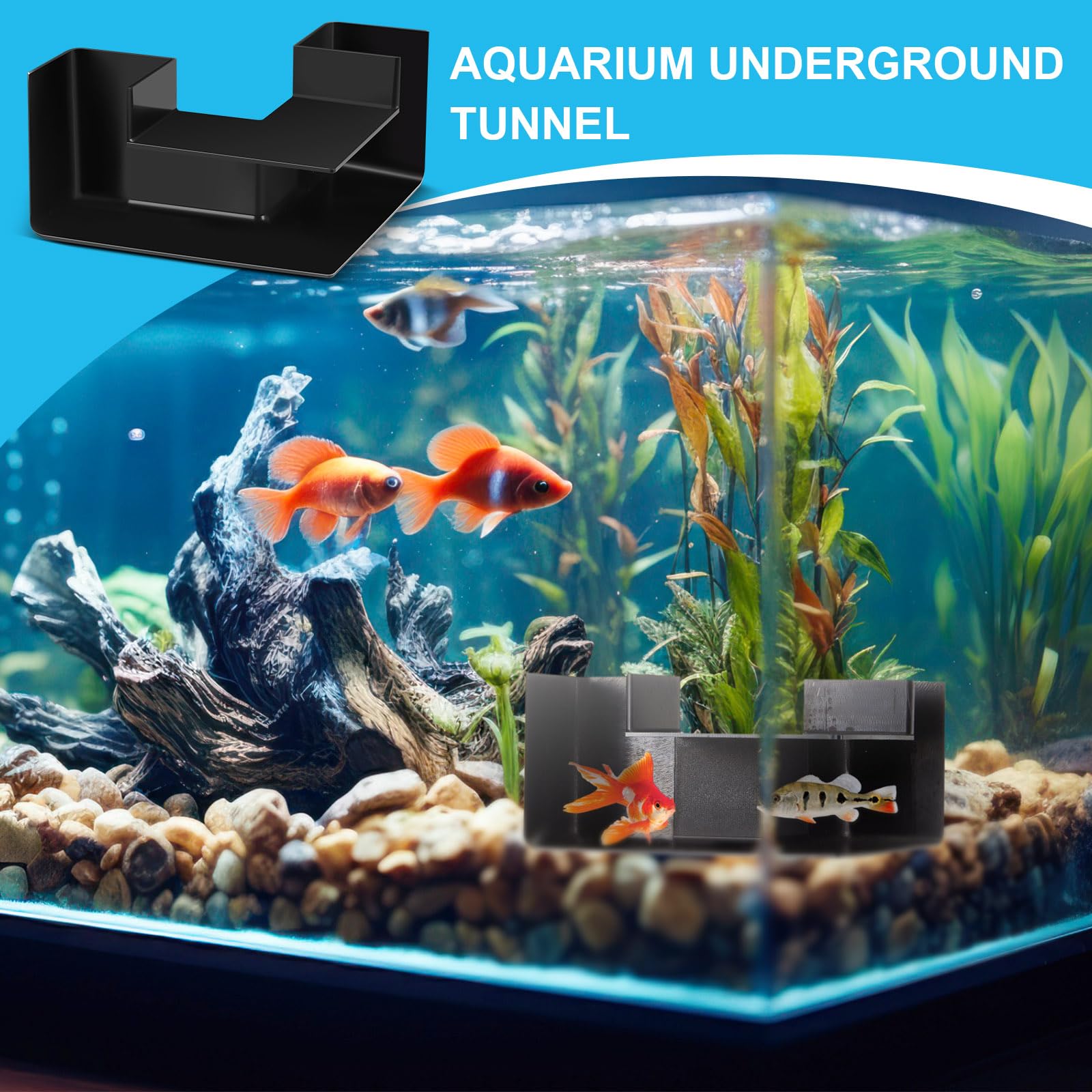Nuanchu habitat privado para peces, privacidad y descanso